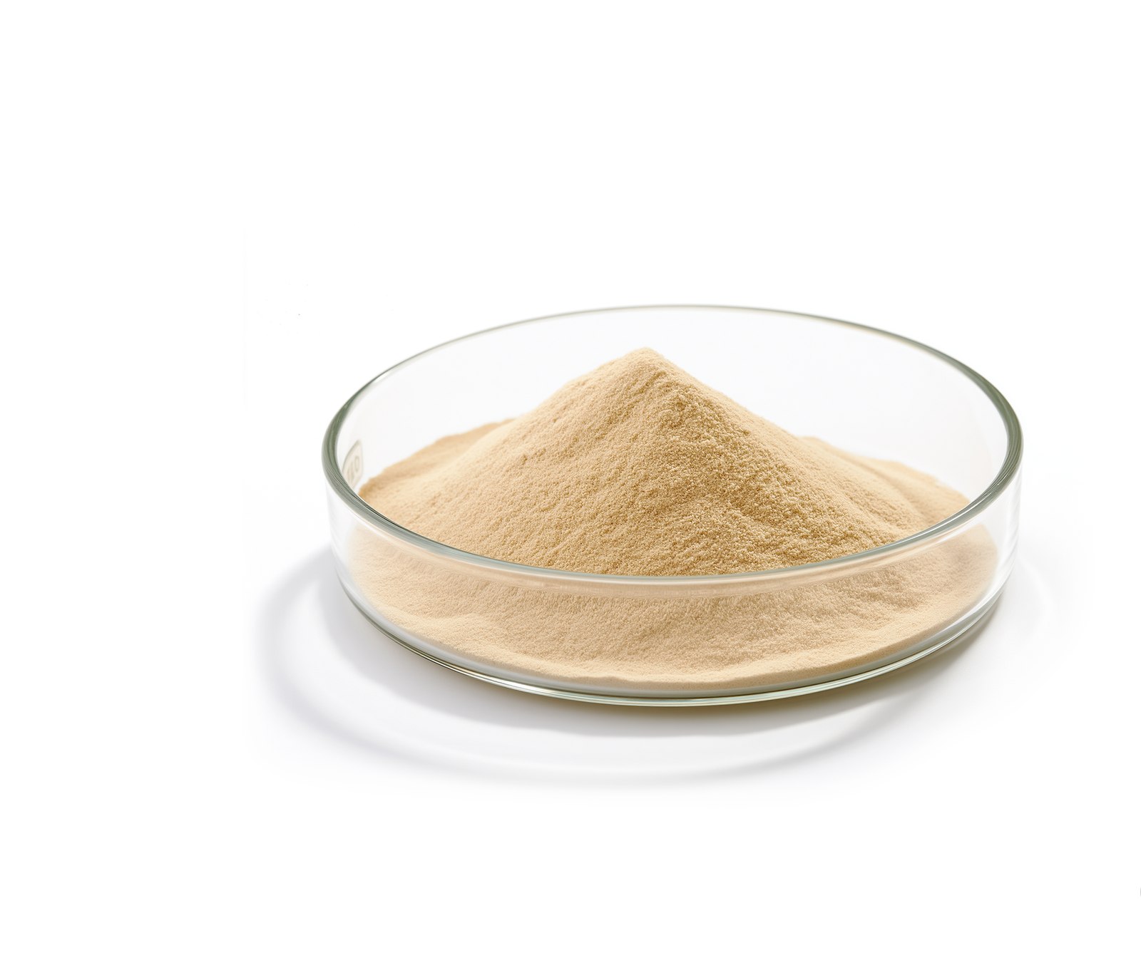 酵母水解物 Lyscell®